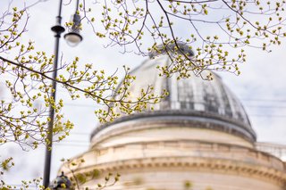 The dome of Woolsey Hall behind delicate tree branches adorned with spring buds